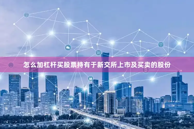 怎么加杠杆买股票持有于新交所上市及买卖的股份