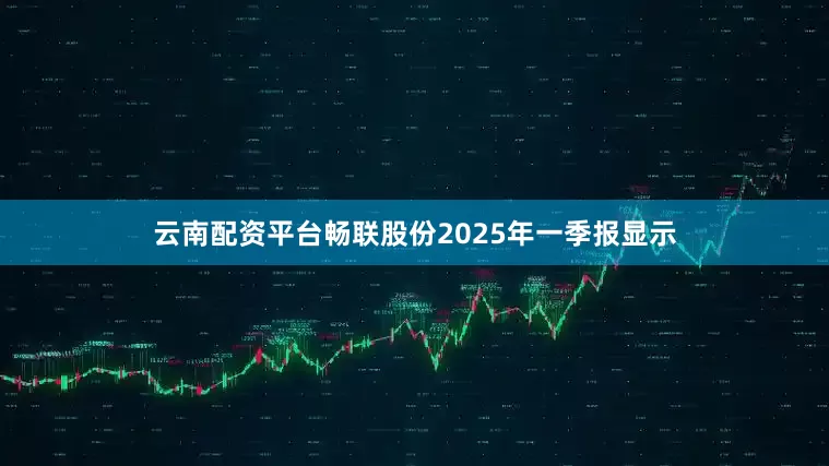 云南配资平台畅联股份2025年一季报显示