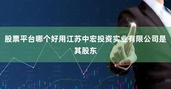 股票平台哪个好用江苏中宏投资实业有限公司是其股东